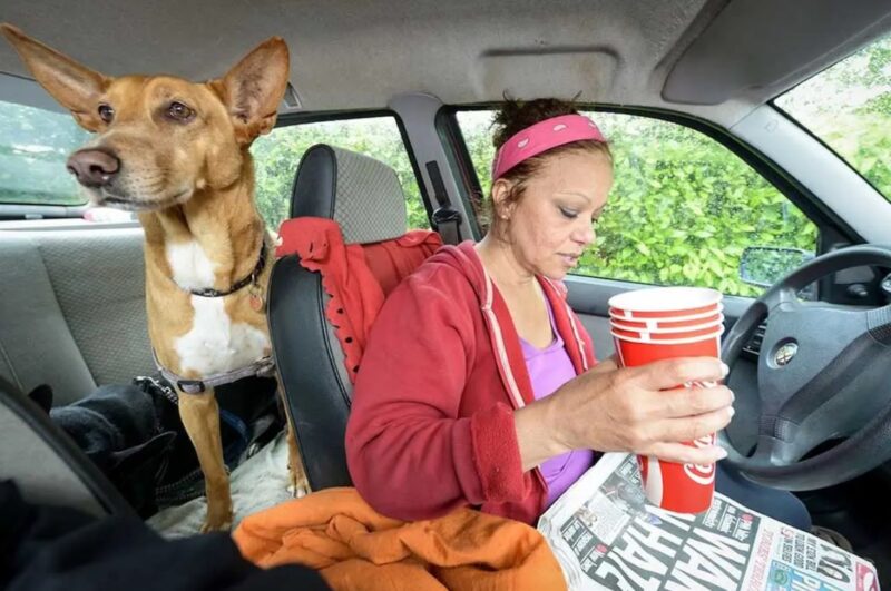 Afin de ne pas se débarrasser de ses chiens, cette femme préfère vivre avec eux dans sa voiture