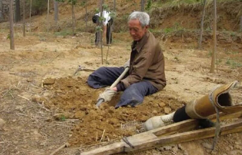 Un papy sans jambes a planté 17 000 arbres pendant dix-neuf ans : «Il mérite notre soutien»
