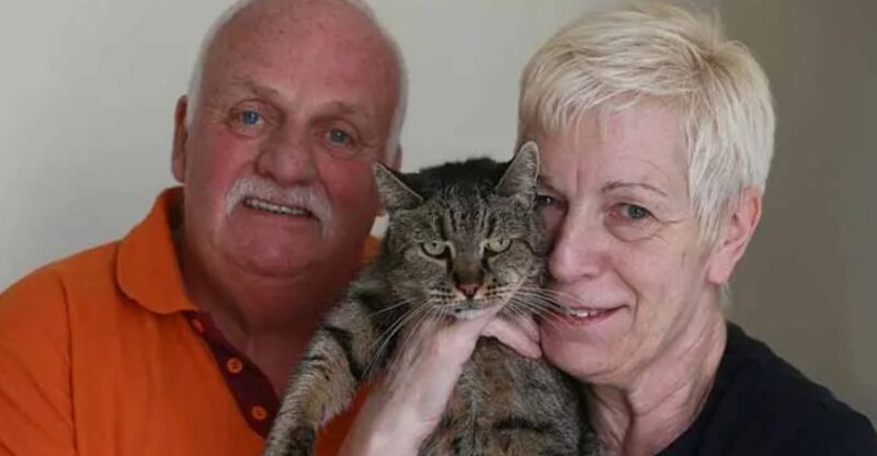 Un chat a fêté son 31e anniversaire et ses vingt-six ans de présence dans la famille