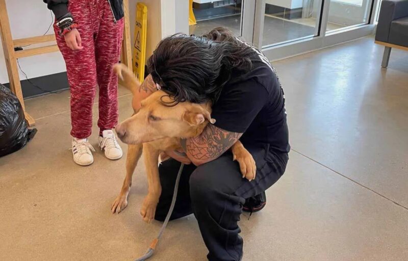 L'homme qui avait juré de ne jamais interrompre la recherche de son chien perdu le retrouve finalement 4 ans plus tard