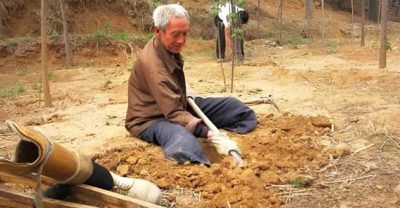 Un papy sans jambes a planté 17 000 arbres pendant dix-neuf ans : «Il mérite notre soutien»