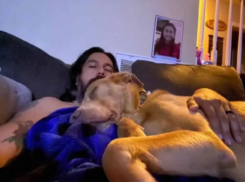 L'homme qui avait juré de ne jamais interrompre la recherche de son chien perdu le retrouve finalement 4 ans plus tard