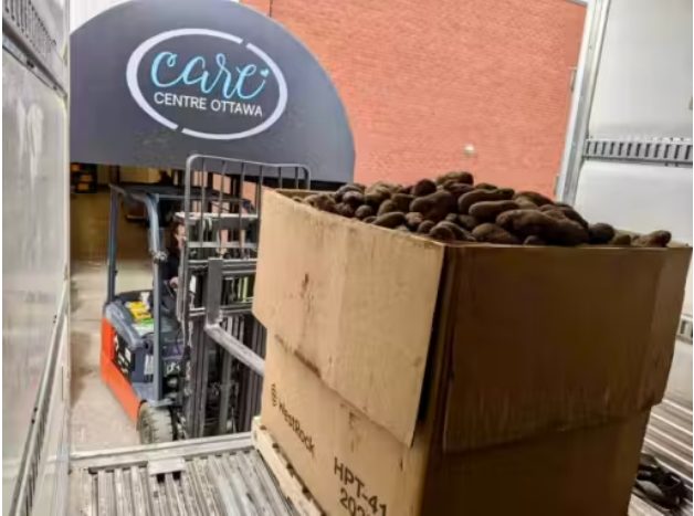 Un fermier fait un don spécial : des millions de kilos de pommes de terre sont distribués aux personnes dans le besoin