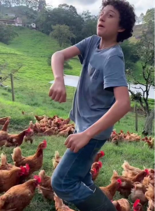 Une végane a critiqué sur le net le fils d'un fermier parce qu'il élevait des poules : voici la réponse de l'enfant
