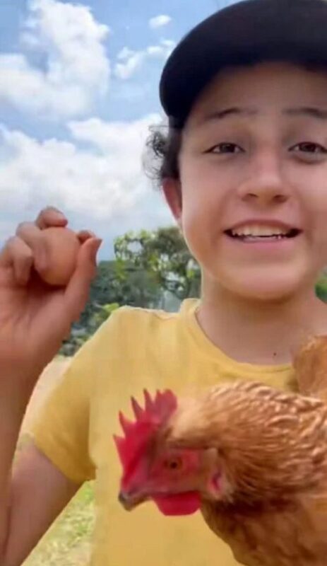 Une végane a critiqué sur le net le fils d'un fermier parce qu'il élevait des poules : voici la réponse de l'enfant