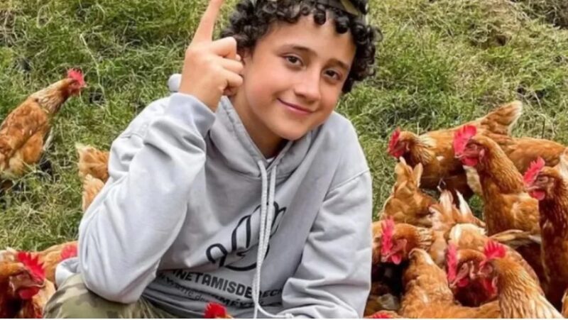 Une végane a critiqué sur le net le fils d'un fermier parce qu'il élevait des poules : voici la réponse de l'enfant