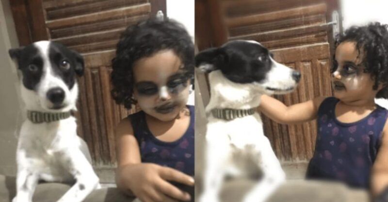 Une maman a surpris sa fillette de trois ans en train de se maquiller afin de ressembler à leur petit chien de compagnie