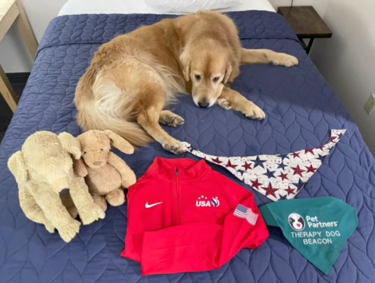 Un chien "déstressant" pour encourager les sportifs américains lors des Jeux olympiques