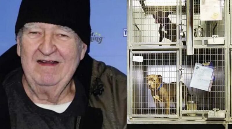 L'homme qui a tiré 4 millions de dollars de la loterie a voulu donner une partie de son argent à des chiens nécessiteux