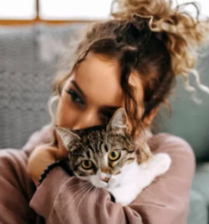 "Mon conjoint a placé mon chat dans un refuge sans mon autorisation et aujourd'hui, je veux demander le divorce" : Peut-on divorcer pour un chat