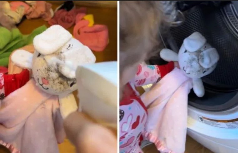 Un bambin passe par les 5 étapes de la tristesse lorsque son lapin en peluche se retrouve sale