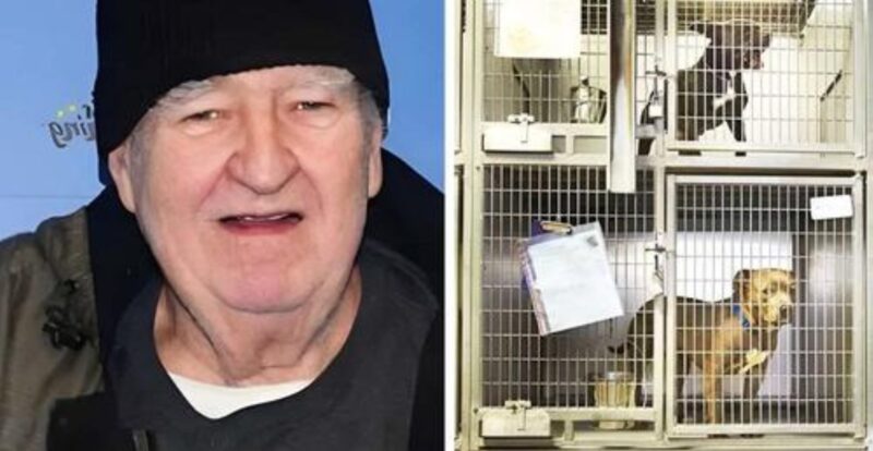 L'homme qui a tiré 4 millions de dollars de la loterie a voulu donner une partie de son argent à des chiens nécessiteux