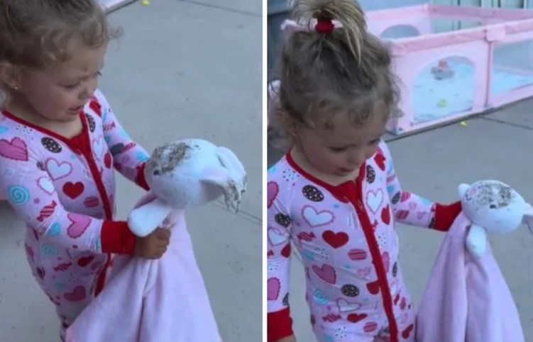 Un bambin passe par les 5 étapes de la tristesse lorsque son lapin en peluche se retrouve sale