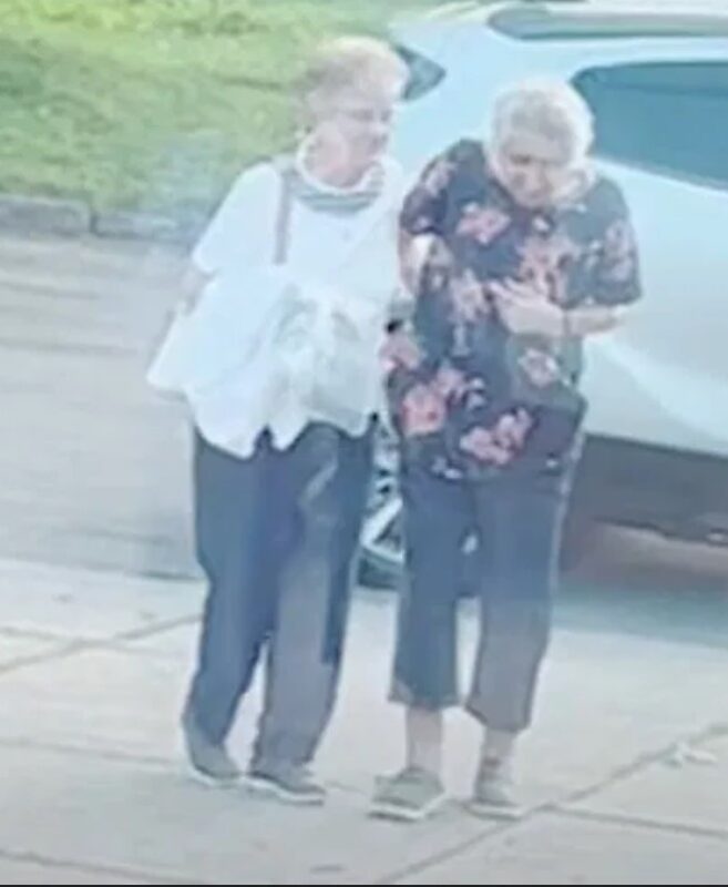Deux amis d'enfance octogénaires se promènent ensemble dans une adorable vidéo
