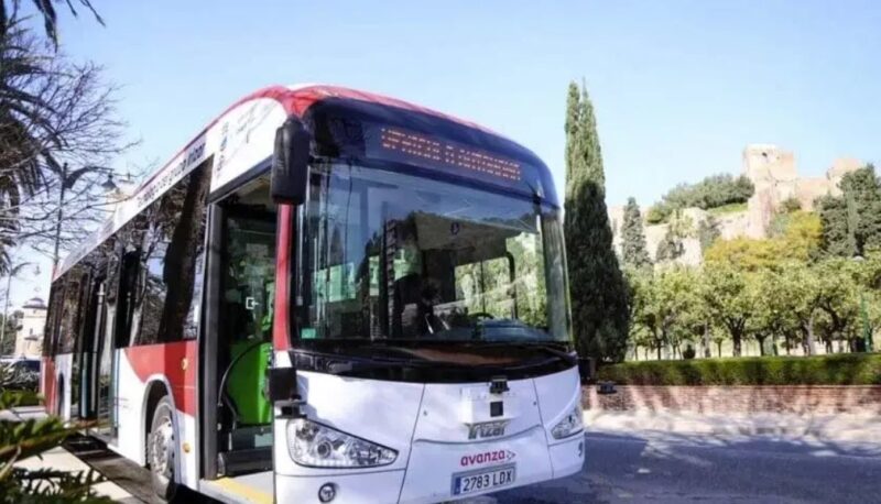 Un conducteur de bus paie le trajet d'une jeune fille sans ressources : elle décroche le job