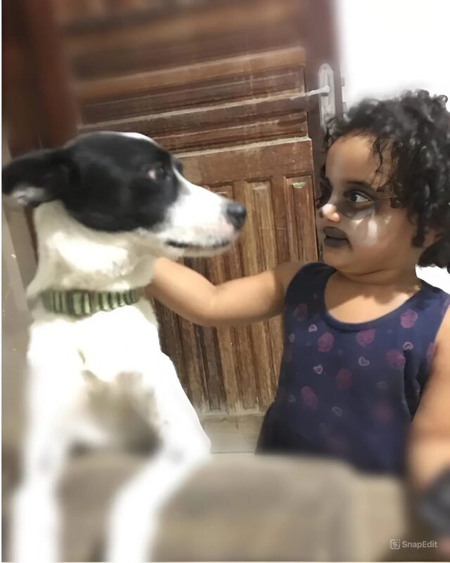 Une maman a surpris sa fillette de trois ans en train de se maquiller afin de ressembler à leur petit chien de compagnie
