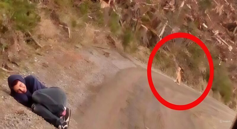 Cette jeune femme est immobilisée sur le bord de la route - regardez qui surgit derrière les arbres