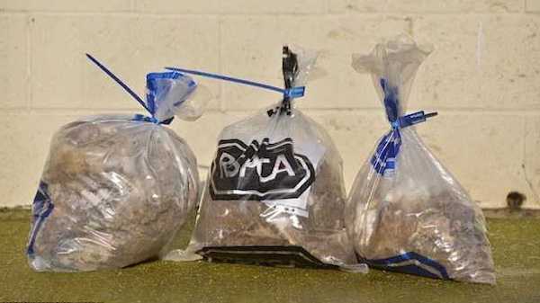 Voyant un tas de chiffons en mouvement, il s'approche et découvre l'inimaginable