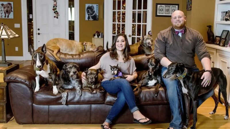 Un couple a adopté tous les vieux chiens non demandés du centre d'accueil pour animaux : « Ils méritent nos applaudissements »