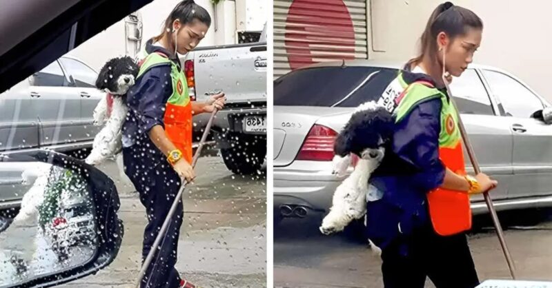 La nettoyeuse engagée qui emmène son animal de compagnie au travail : Une belle histoire de dévouement et bienveillance