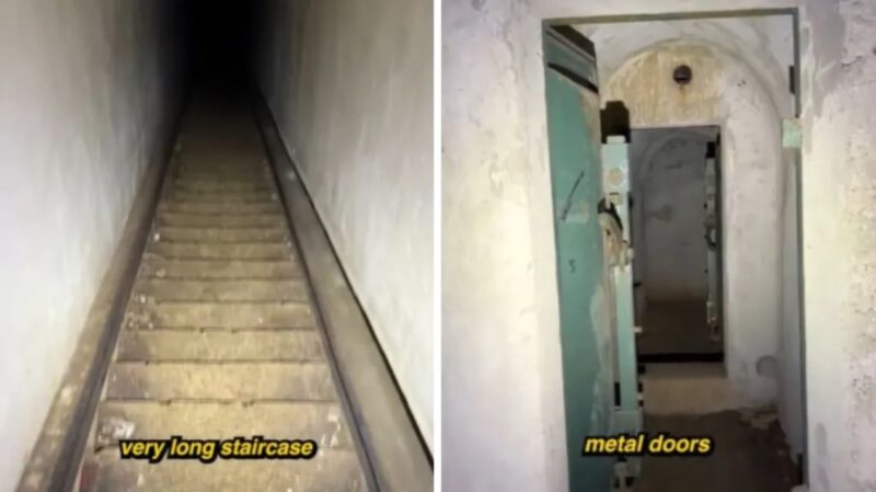 Un randonneur découvre un escalier caché menant à des tunnels souterrains dans la forêt