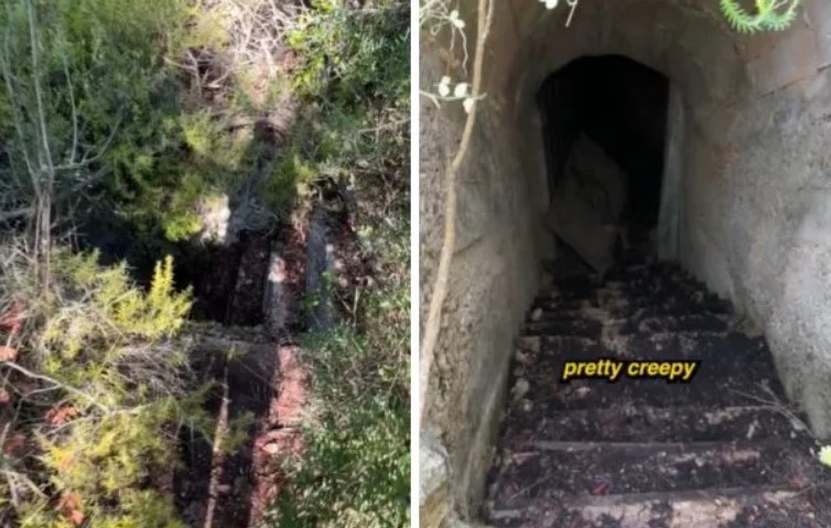 Un randonneur découvre un escalier caché menant à des tunnels souterrains dans la forêt