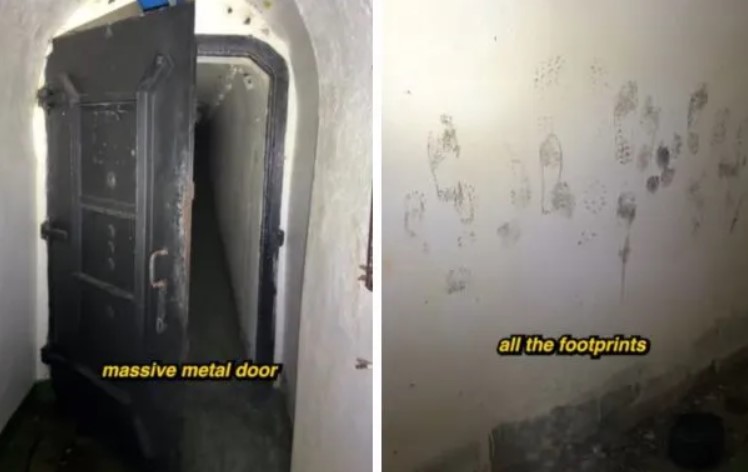 Un randonneur découvre un escalier caché menant à des tunnels souterrains dans la forêt