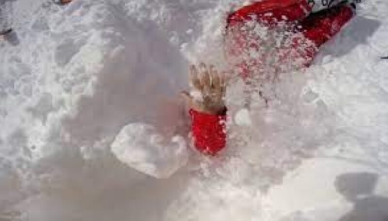 Un vrai héros ! Le chien a sauvé un enfant en le sortant de la neige
