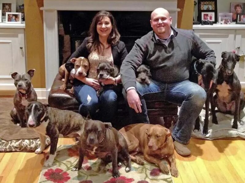 Un couple a adopté tous les vieux chiens non demandés du centre d'accueil pour animaux : « Ils méritent nos applaudissements »