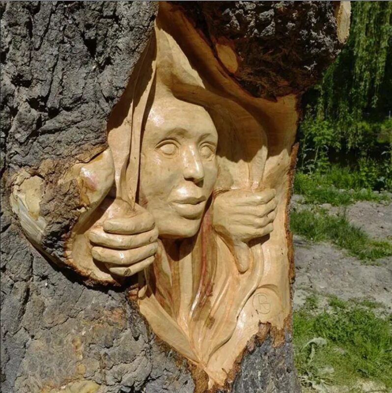 Un artiste transforme des arbres secs en magnifiques œuvres d'art « merci d'apprécier son travail »