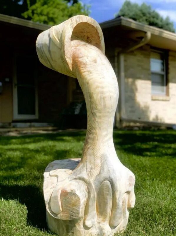 Un artiste transforme des arbres secs en magnifiques œuvres d'art « merci d'apprécier son travail »