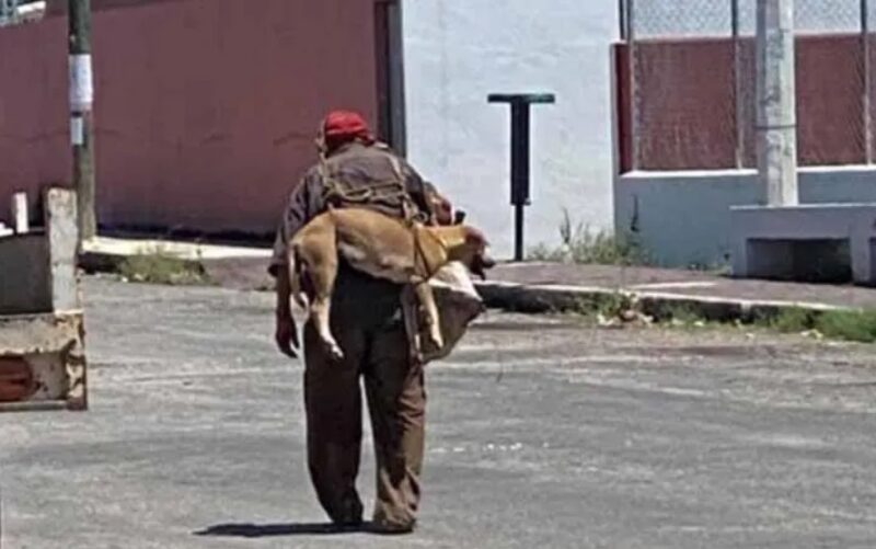 Un grand-père au grand cœur porte son chien pour qu'il ne se brûle pas les pattes sur l'asphalte