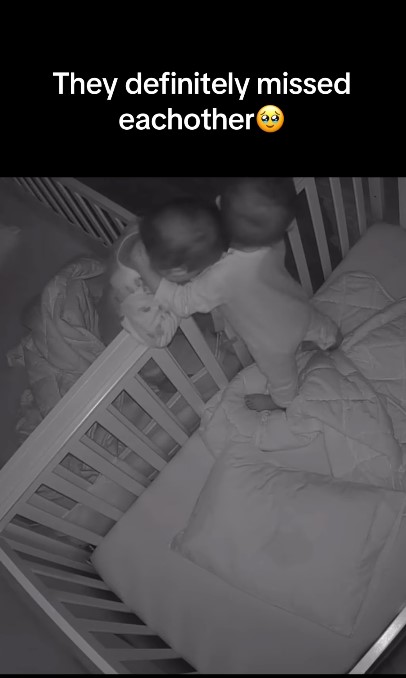 Des bébés jumeaux se réunissent après leur première nuit de séparation et leur réaction est précieuse