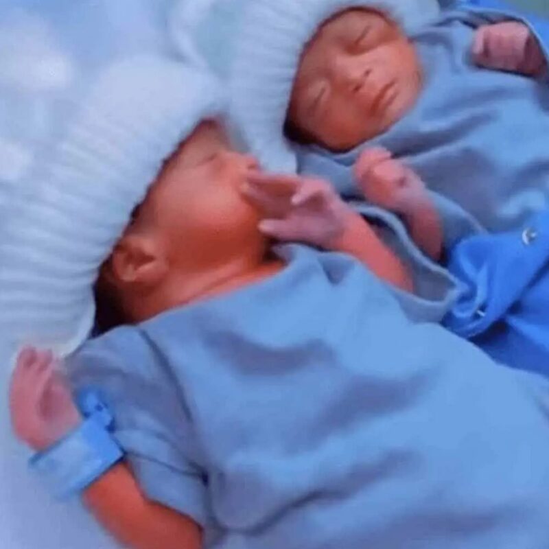 Après sept ans d'attente, elle donne naissance à des quadruplés - les clichés de ses enfants émerveillent le monde entier