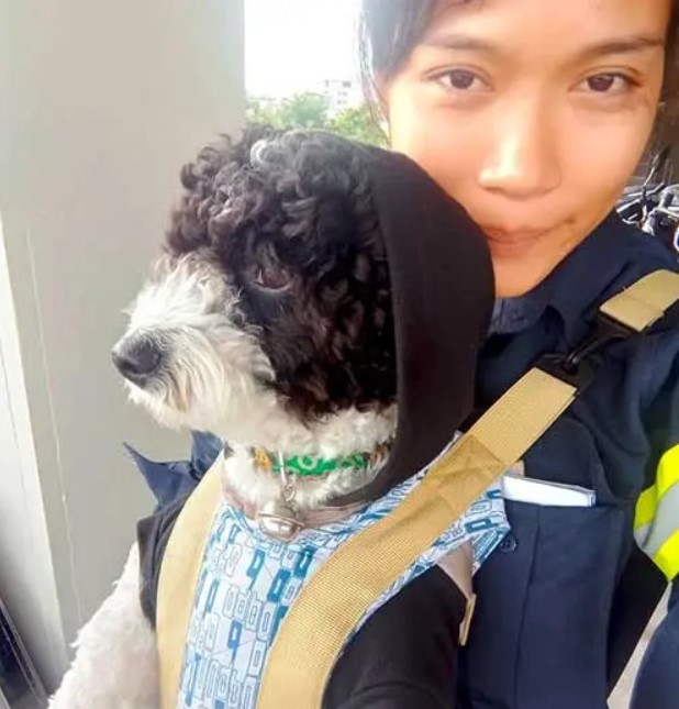 La nettoyeuse engagée qui emmène son animal de compagnie au travail : Une belle histoire de dévouement et bienveillance