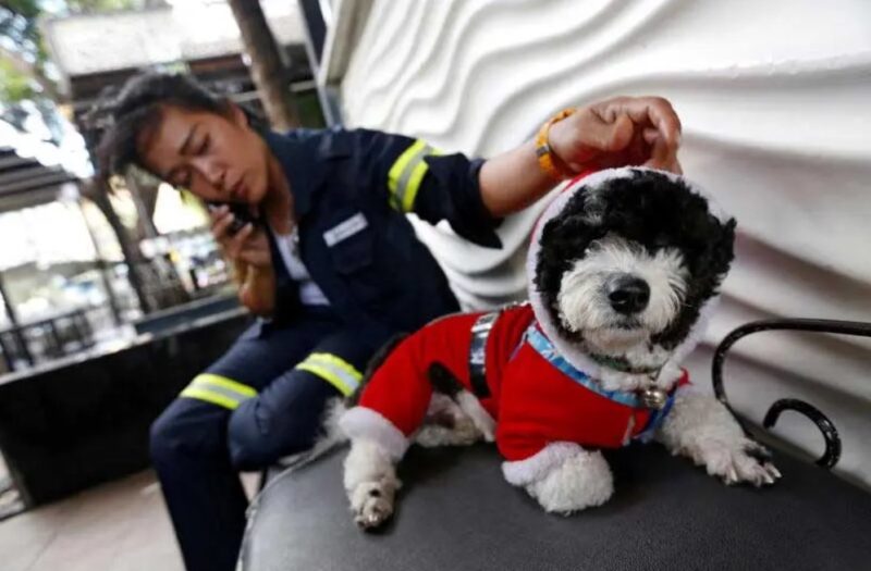La nettoyeuse engagée qui emmène son animal de compagnie au travail : Une belle histoire de dévouement et bienveillance