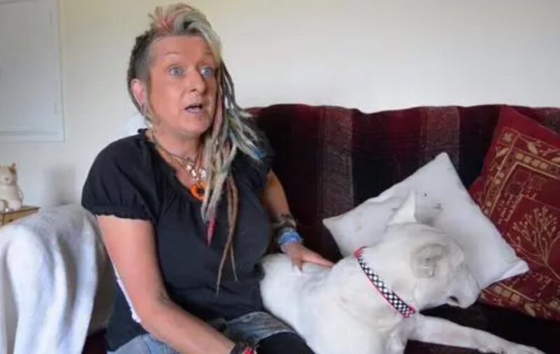 Un homme a forcé son épouse à choisir entre lui et ses chiens adoptés - elle a opté pour les chiens