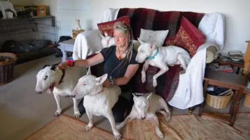 Un homme a forcé son épouse à choisir entre lui et ses chiens adoptés - elle a opté pour les chiens