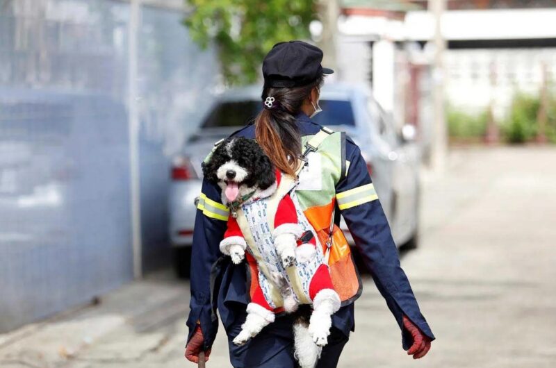 La nettoyeuse engagée qui emmène son animal de compagnie au travail : Une belle histoire de dévouement et bienveillance