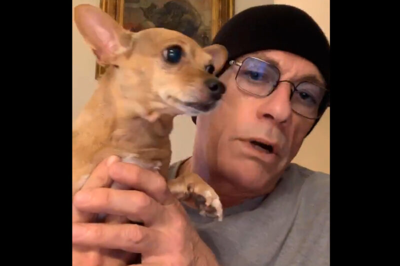 C'est une formidable personne, ce Jean-Claude: Jean-Claude Van Damme intervient pour sauver un chihuahua de l'euthanasie