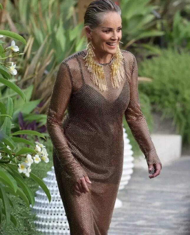 Une femme sans âge : la sublime Sharon Stone, âgée de soixante-six ans, a fait fureur dans une tenue transparente