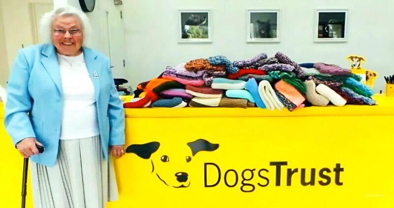 Une vieille dame de 89 ans a confectionné plus de 450 manteaux pour les chiens des refuges afin de les garder bien au chaud pendant l'hiver