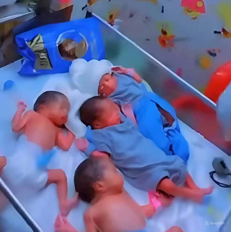 Après sept ans d'attente, elle donne naissance à des quadruplés - les clichés de ses enfants émerveillent le monde entier