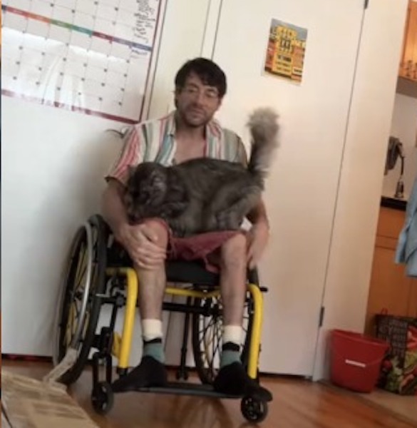 Ce chat veut s'asseoir à côté de son maître en fauteuil roulant, et la façon dont il le fait stupéfie tout le monde