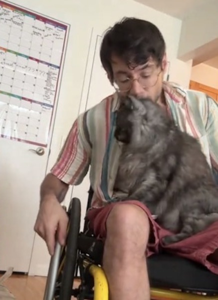 Ce chat veut s'asseoir à côté de son maître en fauteuil roulant, et la façon dont il le fait stupéfie tout le monde
