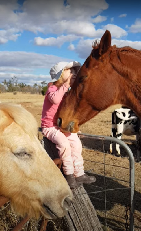 Une petite fille de 3 ans chante la sérénade à ses chevaux pour les endormir dans une vidéo virale des plus adorables