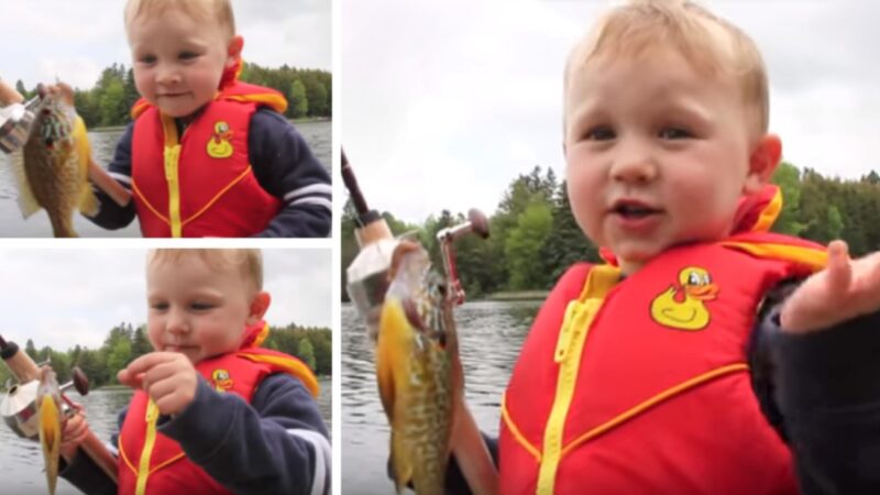 La façon dont ce petit garçon réagit à la capture d'un poisson est vraiment précieuse !