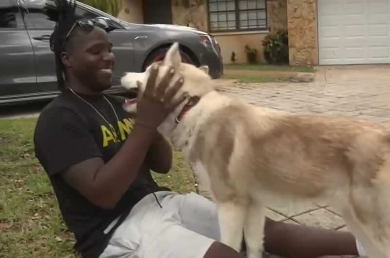 «Ils n'ont pas pu le retenir» : Un vétéran handicapé retrouve son chien d'assistance perdu