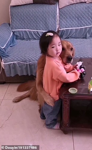 Un chien fidèle protège une fillette en sanglots du comportement agressif de sa maman