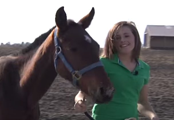 Une adolescente trouve un cheval famélique et parcourt 9 miles pour rentrer chez elle avec le cheval